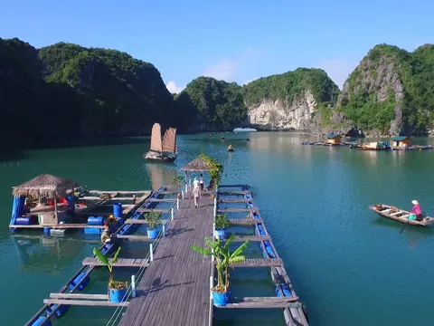 Giữ Vịnh Hạ Long xanh